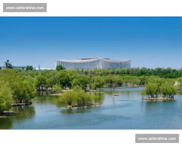 违规风波持续发酵监管追责升级行业信任与治理格局重塑