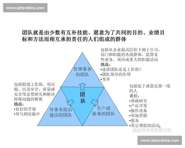 打造协同高效的最佳团队：共同目标与默契合作成就非凡业绩